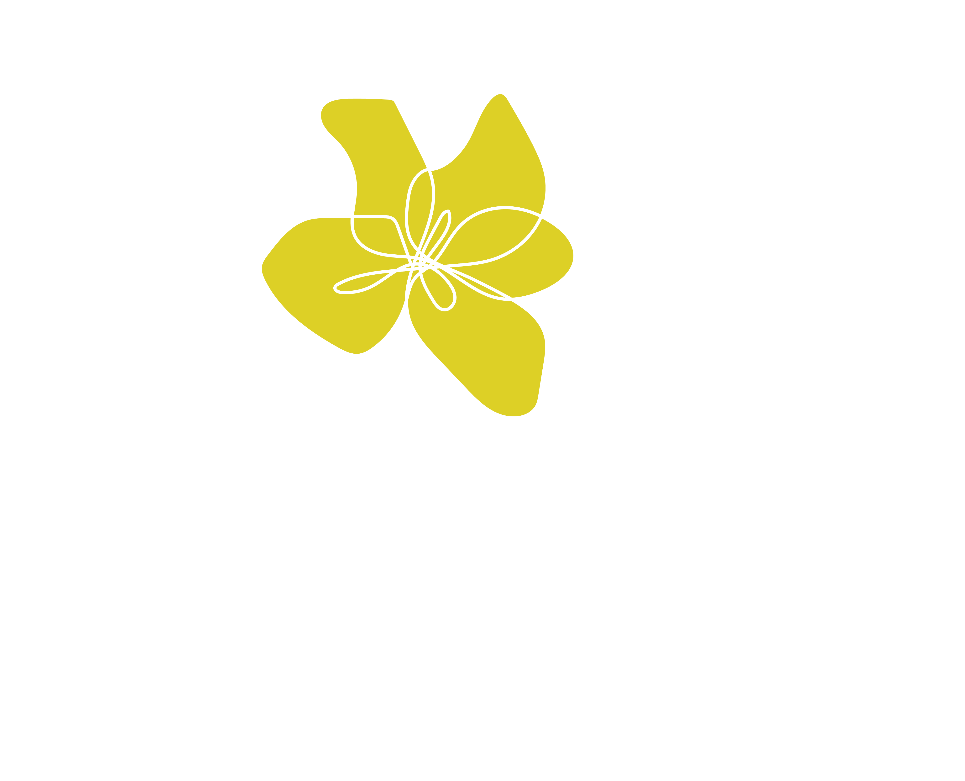 Olympe Shop Paris